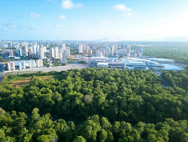 Top 10 plats méditerranéens à découvrir : saveurs et conseils