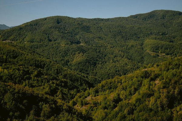 Top des DVD incontournables pour une soirée romantique à deux